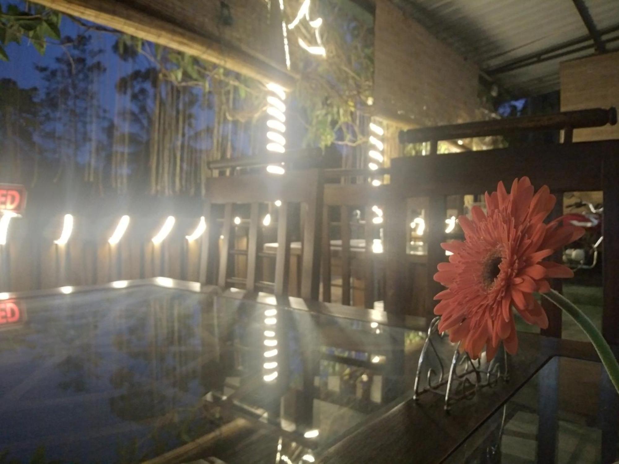 Ella Nature Life Guest & Restaurant -Free Pickup From エッラ エクステリア 写真