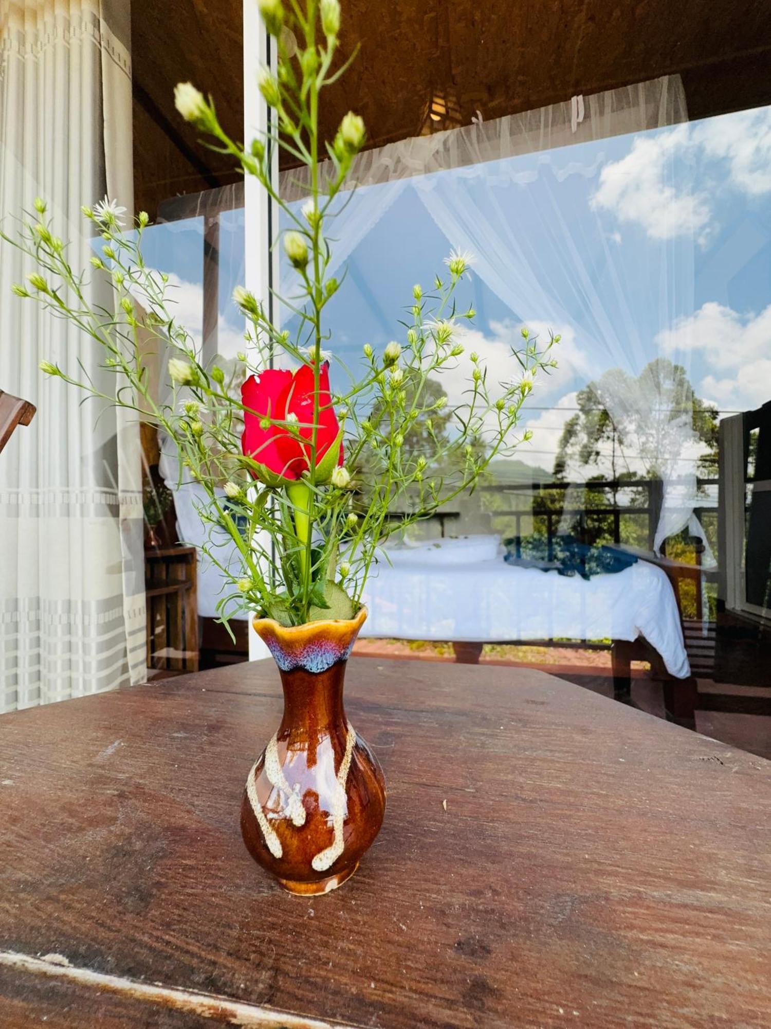 Ella Nature Life Guest & Restaurant -Free Pickup From エッラ エクステリア 写真